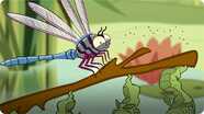 I'm a Dragonfly