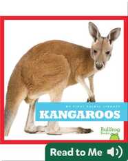 My First Animal Library: Kangaroos