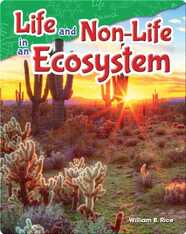 Life and Non-Life in an Ecosystem
