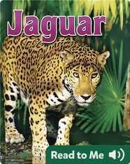 Jaguar
