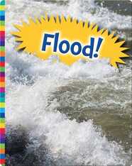 Flood!