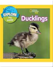 Explore My World Ducklings