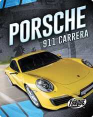 Car Crazy: Porsche 911 Carrera