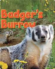 Badger's Burrow