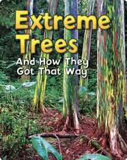 Extreme Trees: And How They Got That Way
