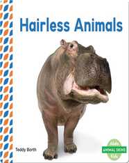 Hairless Animals