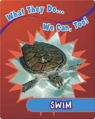 Swim