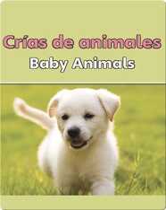 Crias De Animales  (Baby Animals)