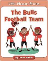 The Bulls Football Team