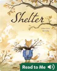 Shelter