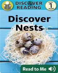 Discover Nests