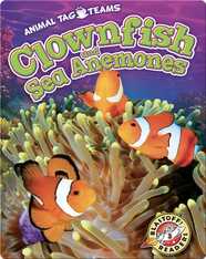 Clownfish and Sea Anemones