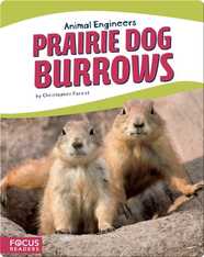 Animal Engineers: Prairie Dog Burrows