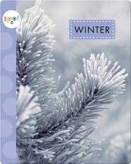Seasons: Winter