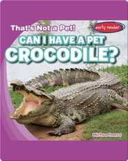 Can I Have a Pet Crocodile?