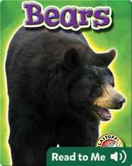 Bears: Backyard Wildlife