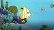 I’m A Butterfly Fish
