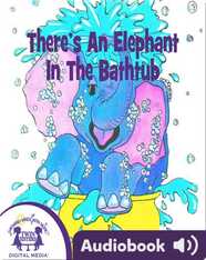 There's an Elephant in the Bathtub