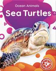 Ocean Animals: Sea Turtles