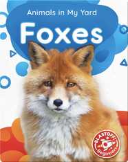 Animals in My Yard: Foxes
