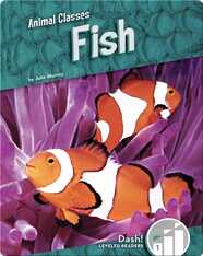 Animal Classes: Fish