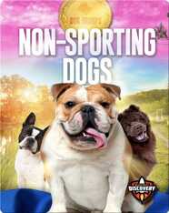 Dog Groups: Non-sporting Dogs