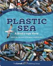 Plastic Sea: A Bird's-Eye View