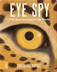 Eye Spy