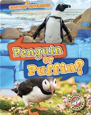 Spotting Differences: Penguin or Puffin?