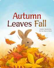 Little Nature Explorers: Autumn Leaves Fall