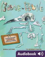Bone by Bone: Comparing Animal Skeletons