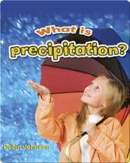 What is Precipitation?