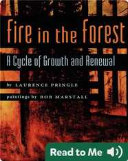 Fire in the Forest: A Cycle of Growth and Renewal