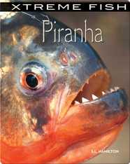 Xtreme Fish: Piranha