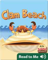 Clam Beach