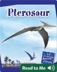 Pterosaur