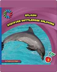 Discover Bottlenose Dolphins