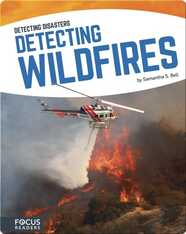 Detecting Wildfires