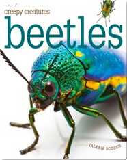 Beetles