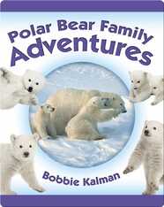 Polar Bear Family Adventures