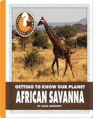 African Savanna