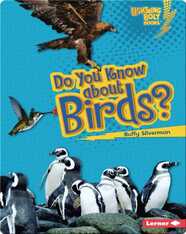 Do You Know about Birds?
