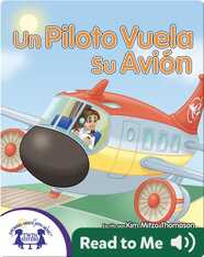 Un Piloto Vuela Su Avión