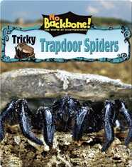 Tricky Trapdoor Spiders