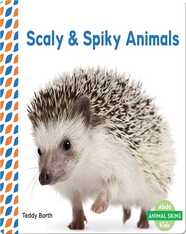 Scaly & Spiky Animals