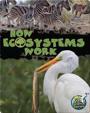 How Ecosystems Work