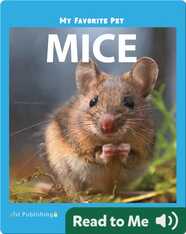 My Favorite Pet: Mice