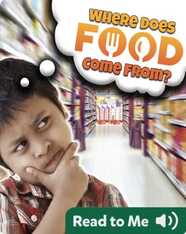 Where Does Food Come From?