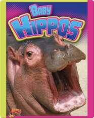 Baby Hippos