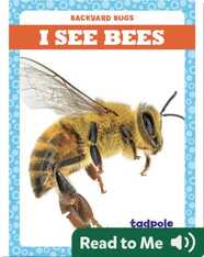 I See Bees